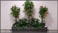 Vestacka-Stabla
